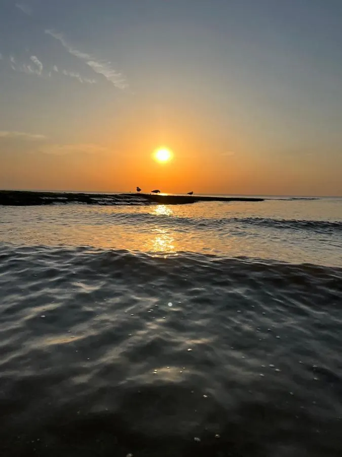 بيت للعطل Bungalow De Strandjutter 8 Persons ميدل كيرك بلجيكا
