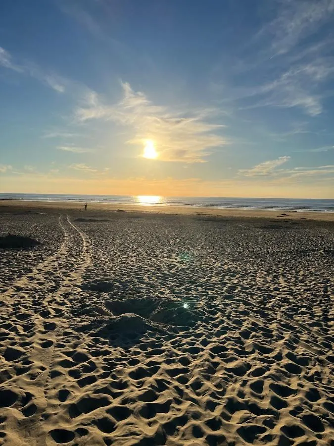Bungalow De Strandjutter 8 Persons ميدل كيرك